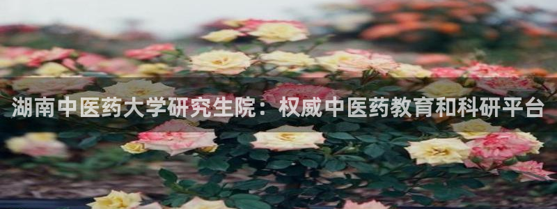 j9九游会会员日