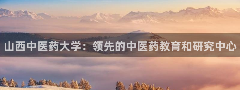 j9九游会官方网站国际怎么样