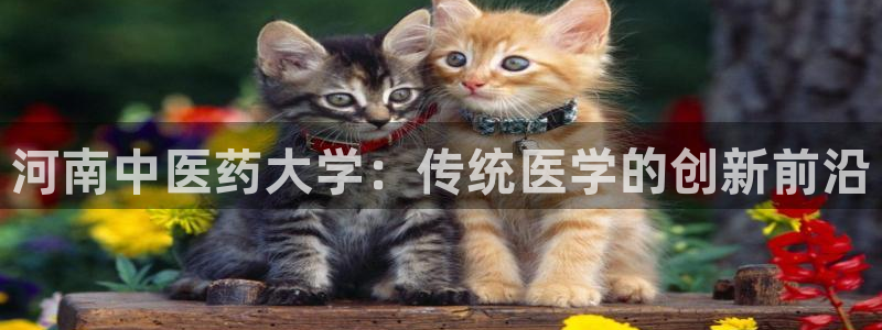 九游会官网APP平台