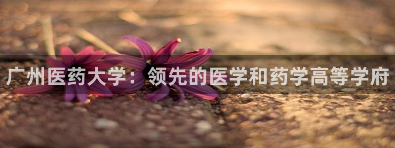 九游官网j9活动介绍