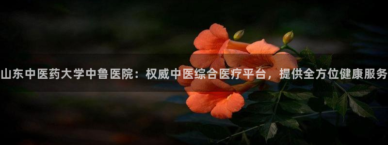 九游会官方选网址是j9.cm
