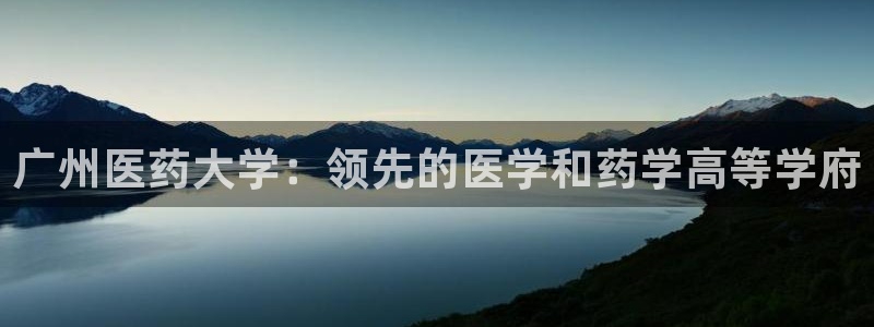 九游会官网进入