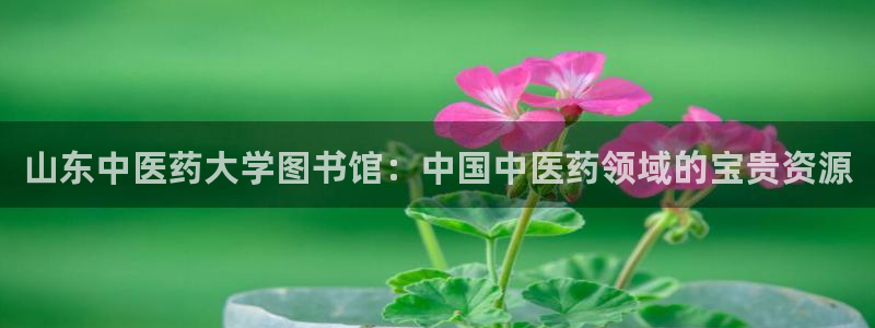 九游会vip