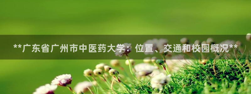 九游会在线官方网站