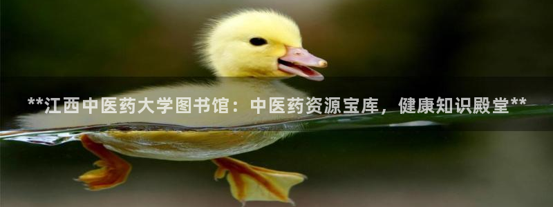 九游会官网ag