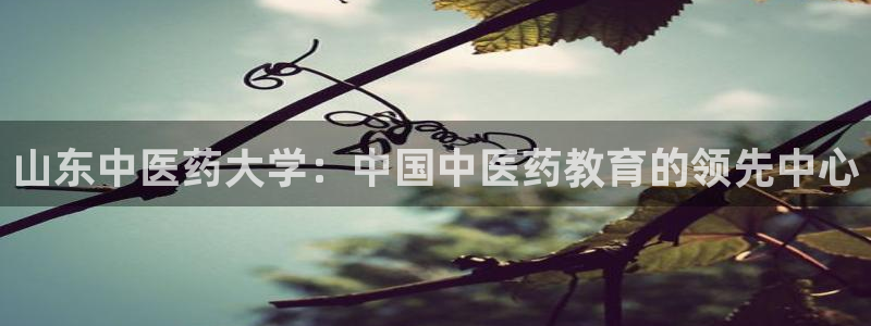 J9九游会登陆