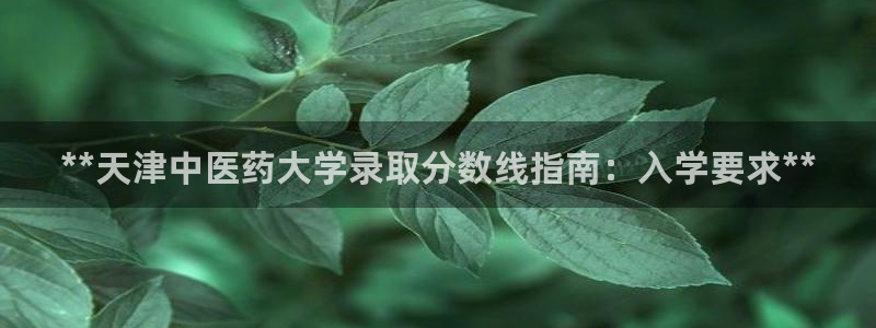 j9官网豪华游