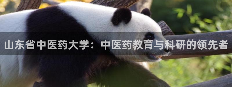 九游会 网址