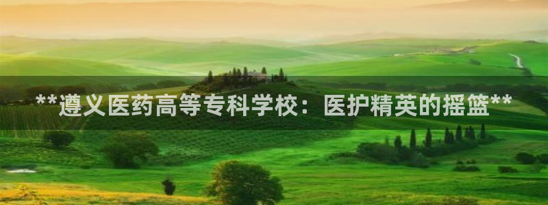 九游会平台稳定吗