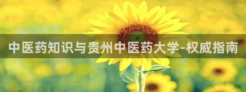 九游会官