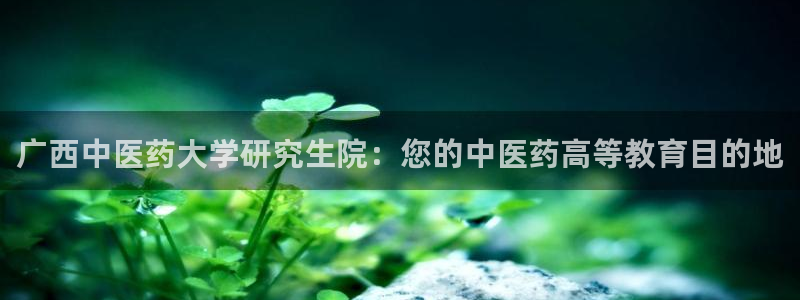 九游j9官网入口
