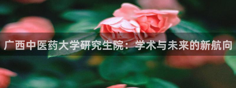 九游会游戏平台：广西