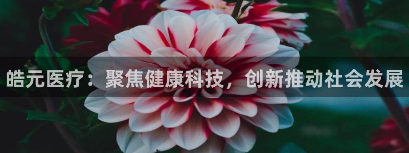 九游会国际厅：皓元医