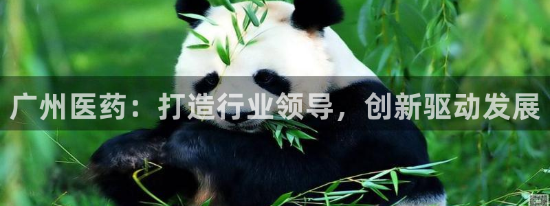 九游会网址是什么：广